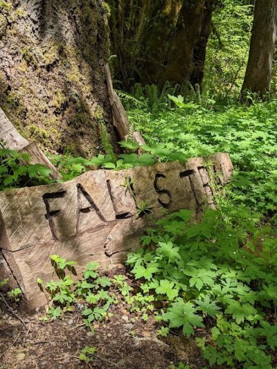 Porter Creek Campground - Elma, WA