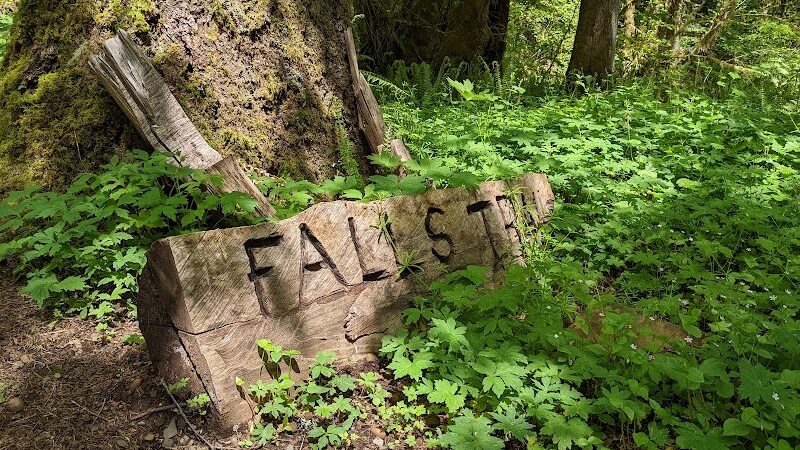 Porter Creek Campground - Elma, WA