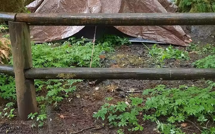 Porter Creek Campground - Elma, WA