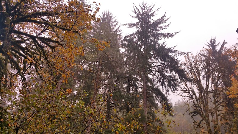 Porter Creek Campground - Elma, WA