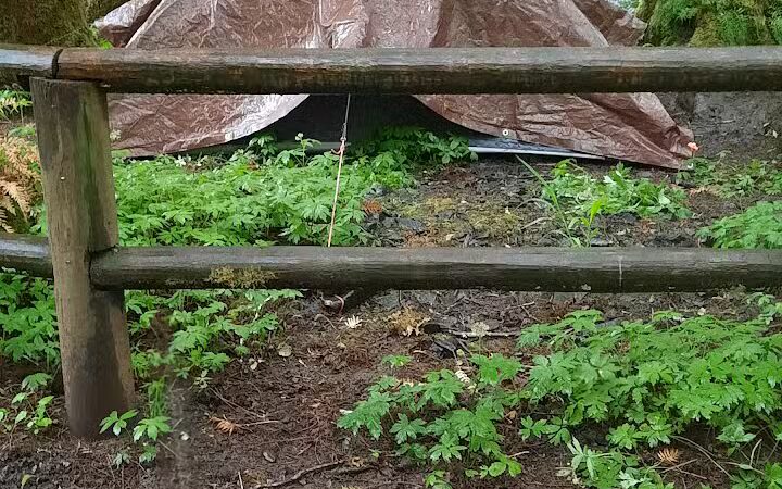 Porter Creek Campground - Elma, WA