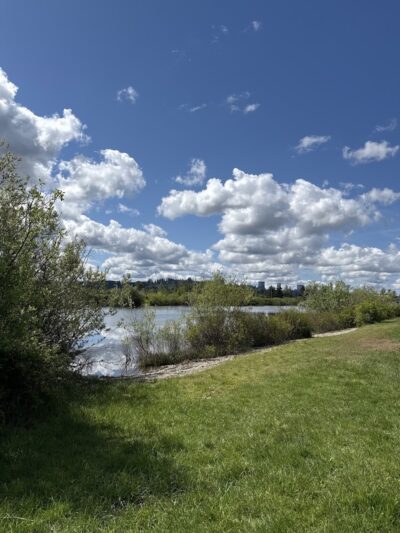 Vance Creek Pond # 2 Boat Launch - Elma, WA