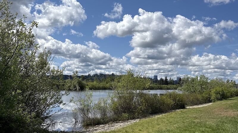 Vance Creek Pond # 2 Boat Launch - Elma, WA