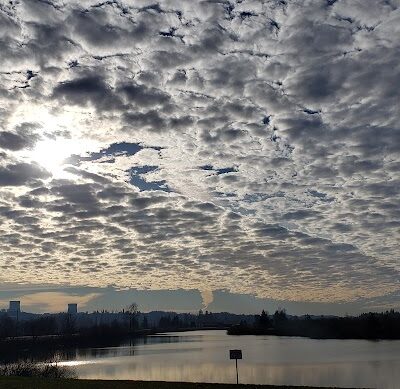 Vance Creek Pond # 2 Boat Launch - Elma, WA