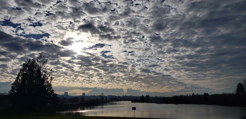 Vance Creek Pond # 2 Boat Launch - Elma, WA