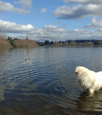 Vance Creek Pond # 2 Boat Launch - Elma, WA