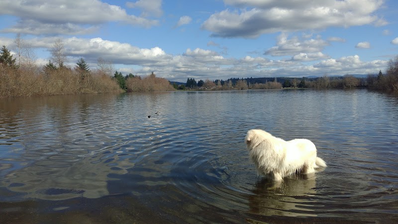 Vance Creek Pond # 2 Boat Launch - Elma, WA