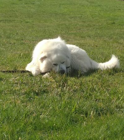 Vance Creek Pond # 2 Boat Launch - Elma, WA
