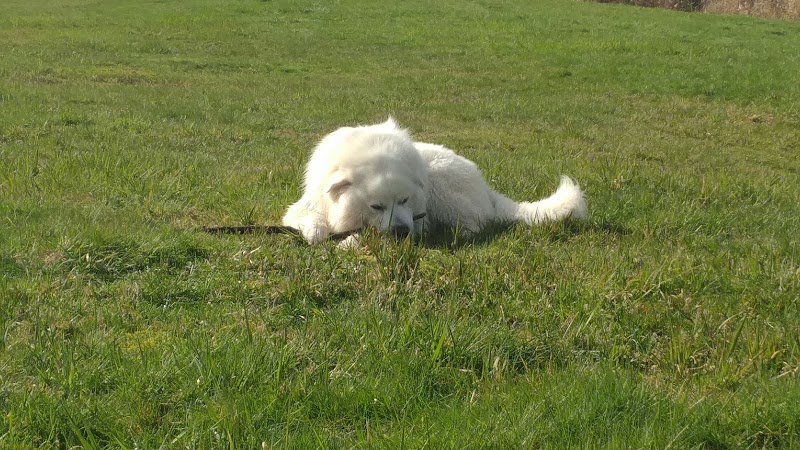 Vance Creek Pond # 2 Boat Launch - Elma, WA