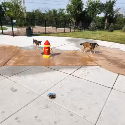 Canine Corner - Elmhurst, IL
