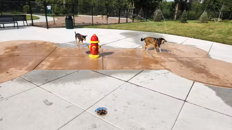 Canine Corner - Elmhurst, IL