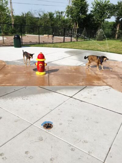 Canine Corner - Elmhurst, IL