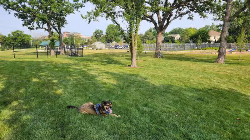 Canine Corner - Elmhurst, IL