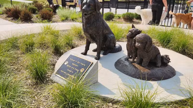 Canine Corner - Elmhurst, IL