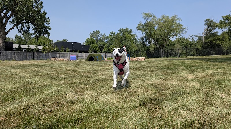 Canine Corner - Elmhurst, IL