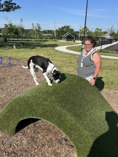 Canine Corner - Elmhurst, IL