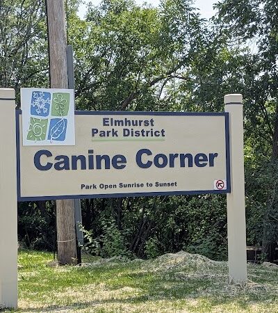 Canine Corner - Elmhurst, IL