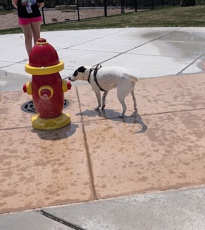Canine Corner - Elmhurst, IL