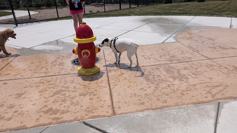 Canine Corner - Elmhurst, IL
