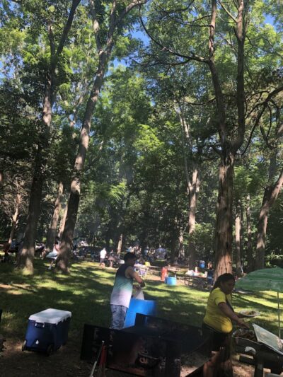 Veterans Grove - Elmhurst, NY