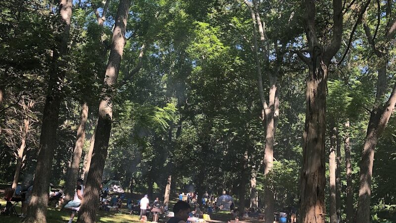 Veterans Grove - Elmhurst, NY