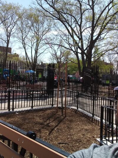 Veterans Grove - Elmhurst, NY