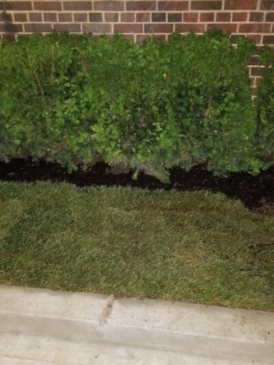 Veterans Grove - Elmhurst, NY