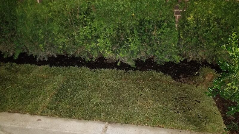 Veterans Grove - Elmhurst, NY