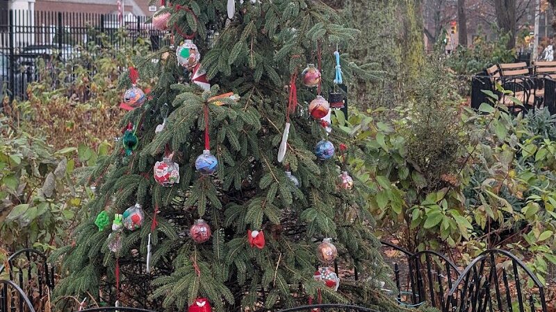 Veterans Grove - Elmhurst, NY