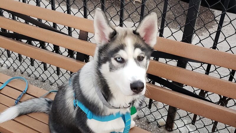 Veterans Grove - Elmhurst, NY