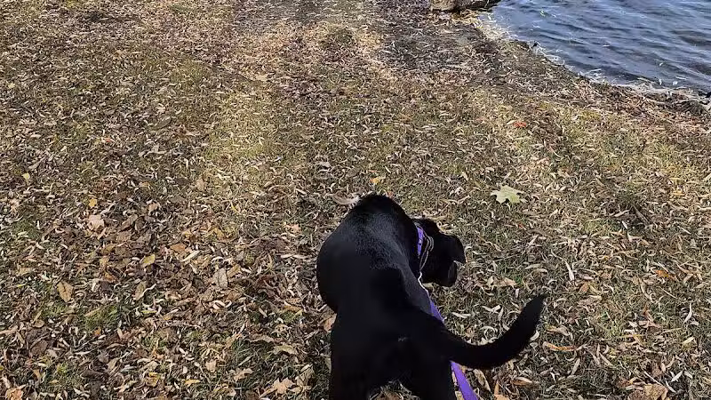 Eldridge Park Dog Park - Elmira, NY