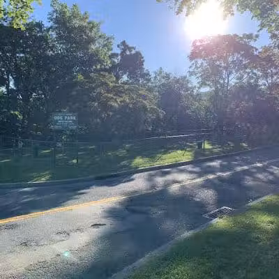 Elmsford Dog Park - Elmsford, NY