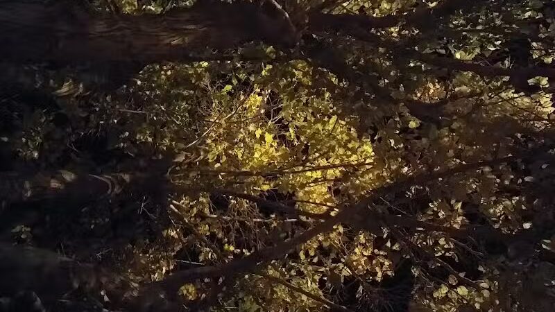 Shumway (North) Park - Eloy, AZ