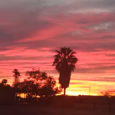 Trekell Park - Eloy, AZ