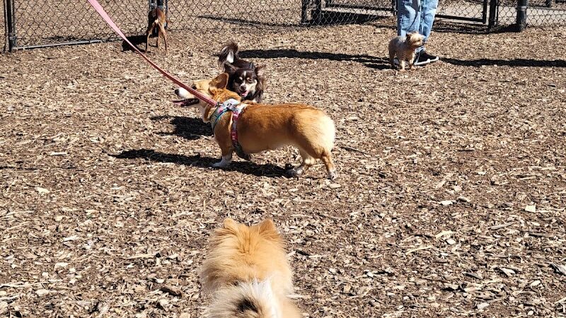 The Enfield Dog Park - Enfield, CT