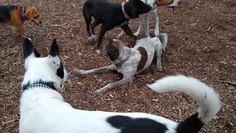The Enfield Dog Park - Enfield, CT