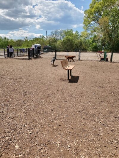 The Enfield Dog Park - Enfield, CT