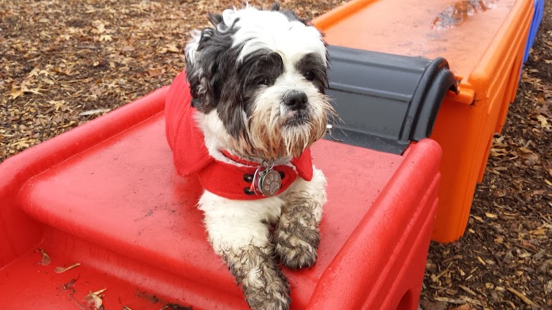 The Enfield Dog Park - Enfield, CT
