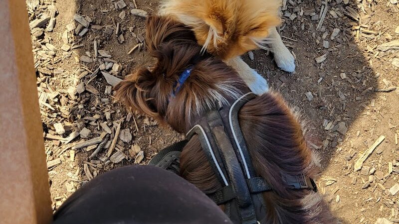 The Enfield Dog Park - Enfield, CT