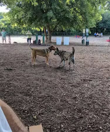 The Enfield Dog Park - Enfield, CT