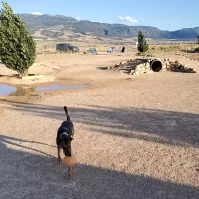 Enoch Dog Park - Enoch, UT