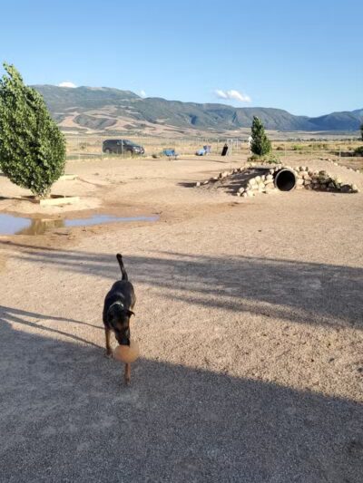 Enoch Dog Park - Enoch, UT