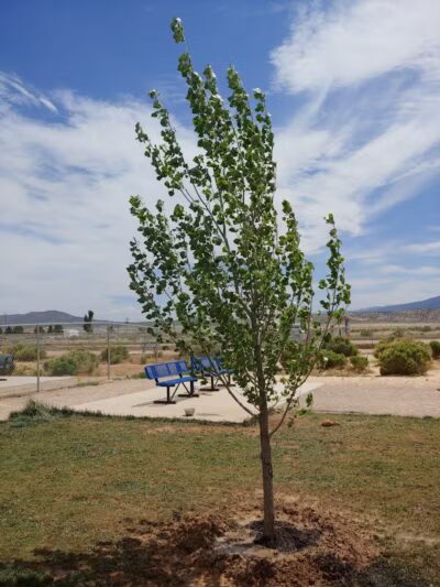 Enoch Dog Park - Enoch, UT