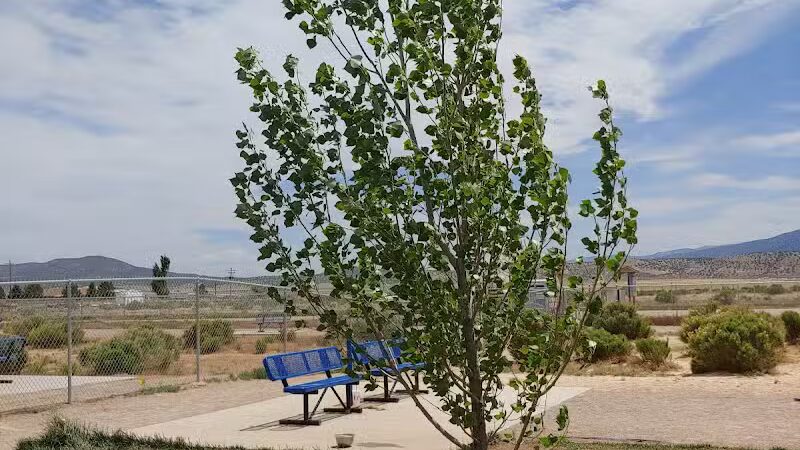 Enoch Dog Park - Enoch, UT