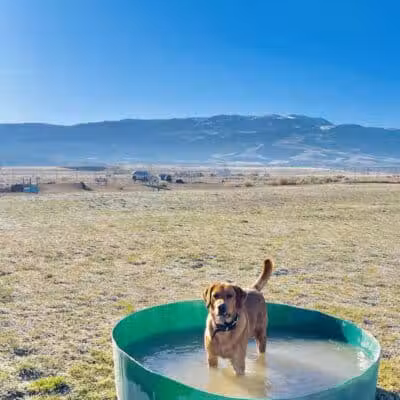 Enoch Dog Park - Enoch, UT