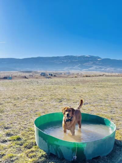 Enoch Dog Park - Enoch, UT
