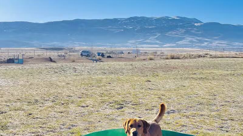 Enoch Dog Park - Enoch, UT