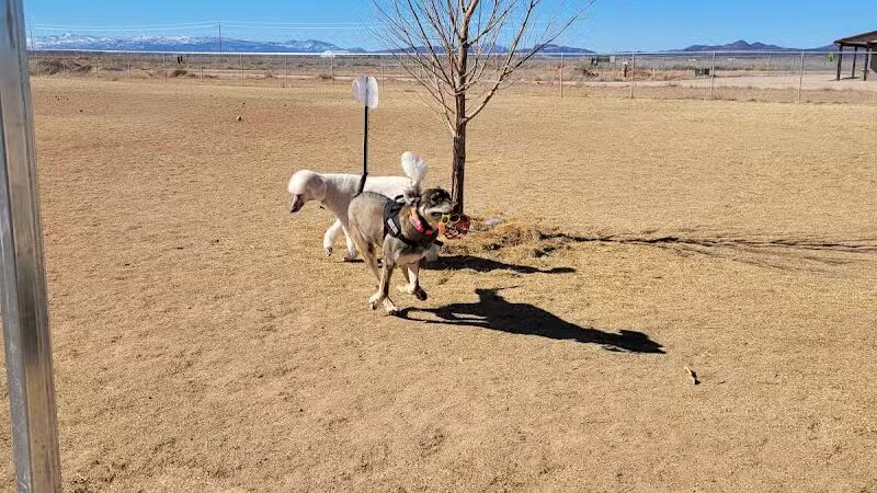 Friends Of Festival Country K-9s - Enoch, UT
