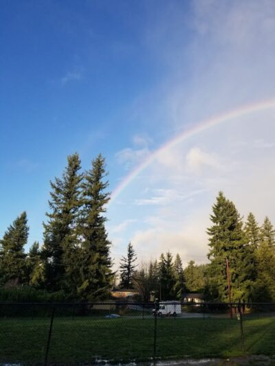 Enumclaw Dog Park - Enumclaw, WA