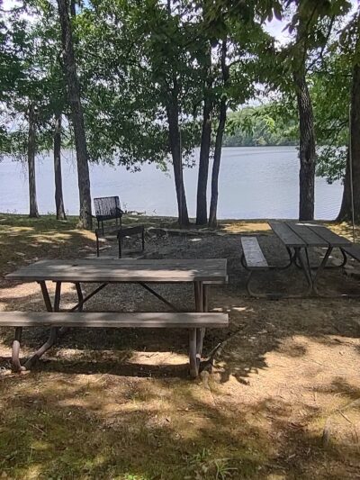 Saline County State Fish and Wildlife Area - Equality, IL